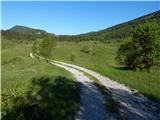 Col - Križna gora above Col